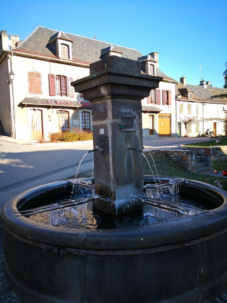 La Ruche Cantalienne Saint-Etienne-de-Chomeil エクステリア 写真